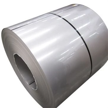 COIL CRUACH DHOSTÚRTHA FOCAL SUSXM15J1