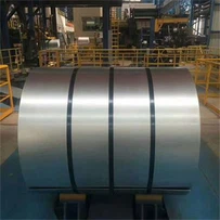 DC04 Coil Cruach Fuar