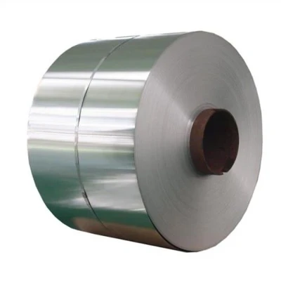 Cruach Dhosmálta 420 UNS S31635 Coil